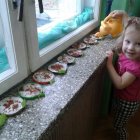Zielone ogródki w przedszkolu w Dąbrowie
