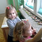 Zielone ogródki w przedszkolu w Dąbrowie