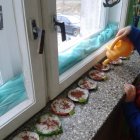 Zielone ogródki w przedszkolu w Dąbrowie