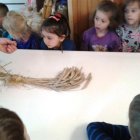Pszczółki z przedszkola z Dąbrowy w gospodarstwie agroturystycznym