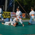 XIX Dni Szarowa
