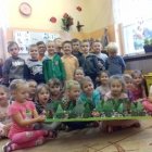 Las sporych rozmiarów w Dąbrowskim Przedszkolu