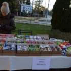 Na wigilijny stół i choinkę…