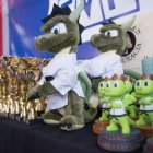 Nasi Karatecy są najlepsi!