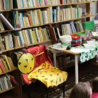 Chiny w bibliotece, czy biblioteka w Chinach? 