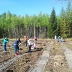 100 drzewek na 100 lecie odzyskania przez Polskę Niepodległości