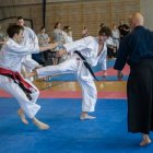 Silesia Cup i kolejny sukces 