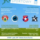 Piknik Sportowy