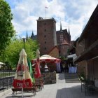 12 Lekcja Historii z „Wolnymi” Szlakiem Mikołaja Kopernika -Życie Mikołaja Kopernika