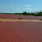 Po wakacyjnej przerwie uczniów Szkoły Podstawowej w Brzeziu czeka niespodzianka