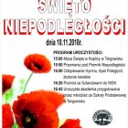 Święto Niepodległości w Targowisku
