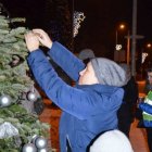 Choinkowy zawrót głowy