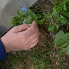 Wiosenna wymiana ogrodnicza