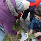 Wiosenna wymiana ogrodnicza