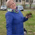 Wiosenna wymiana ogrodnicza