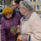 Wiosenna wymiana ogrodnicza