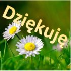 Podziękowanie