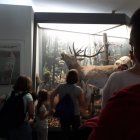 „W Tatry, w Tatry miły bracie” 