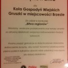 Koło Gospodyń Gruszki na bitwie  w Czorsztynie