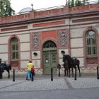 Relacja z wyprawy do Przemyśla Siedemnasta lekcja Historii z Wolnymi