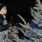 Wspólne ubieranie choinki