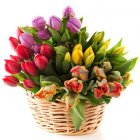 Z okazji Dnia Sołtysa...