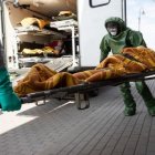 Operacja „odporna wiosna”. Podsumowanie pierwszego miesiąca działania obrony terytorialnej.
