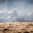 Terytorialsi wznowili szkolenie i szukają specjalistów