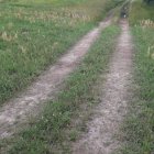Rozstrzygnięto przetarg na remont dróg rolniczych