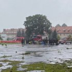 Tak się szkolą terytorialsi!