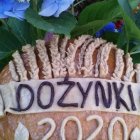 Dożynki w Gruszkach