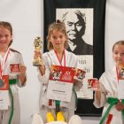 Karatecy z medalami MP i PPDz