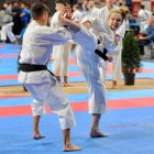 Karatecy z medalami MP i PPDz