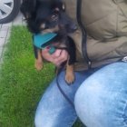 Gdzie jesteś mój właścicielu?
