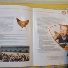 Wszystkie przedszkolaki lubią kurczaki