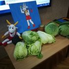 „Idź ty lepiej Koziołeczku, szukać swego Pacanowa” - powiedziały przedszkolaki z Szarowa
