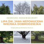 Ruszyło głosowanie na Europejskie Drzewo Roku 2021
