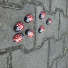 Wszyscy razem w Szkole Podstawowej w Kłaju