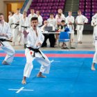 Mistrzostwach Polski oraz Pucharze Polski Dzieci w Karate Tradycyjnym PZKT