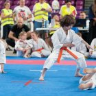 Mistrzostwach Polski oraz Pucharze Polski Dzieci w Karate Tradycyjnym PZKT