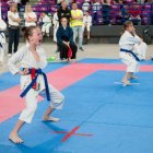 Mistrzostwach Polski oraz Pucharze Polski Dzieci w Karate Tradycyjnym PZKT