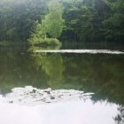W zgodzie z naturą…