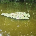 W zgodzie z naturą…