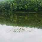 W zgodzie z naturą…