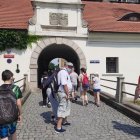 Wyjazd do Pszczyny i goczałkowickich ogrodów