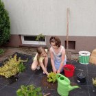 Historia zapisana zielenią