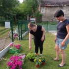 Historia zapisana zielenią