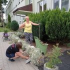 Historia zapisana zielenią