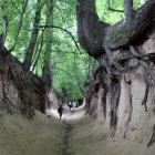 Dwudziesta lekcja Historii z Wolnymi