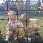 Piknik Rodzinny w Szkole Podstawowej w Kłaju